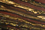 Polished Tiger Iron Stromatolite Slab - Billion Years #239619-1